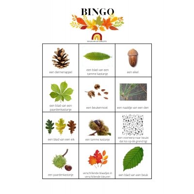 Herstbingo