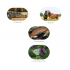 Dierenpaspoort + toegang website (download)