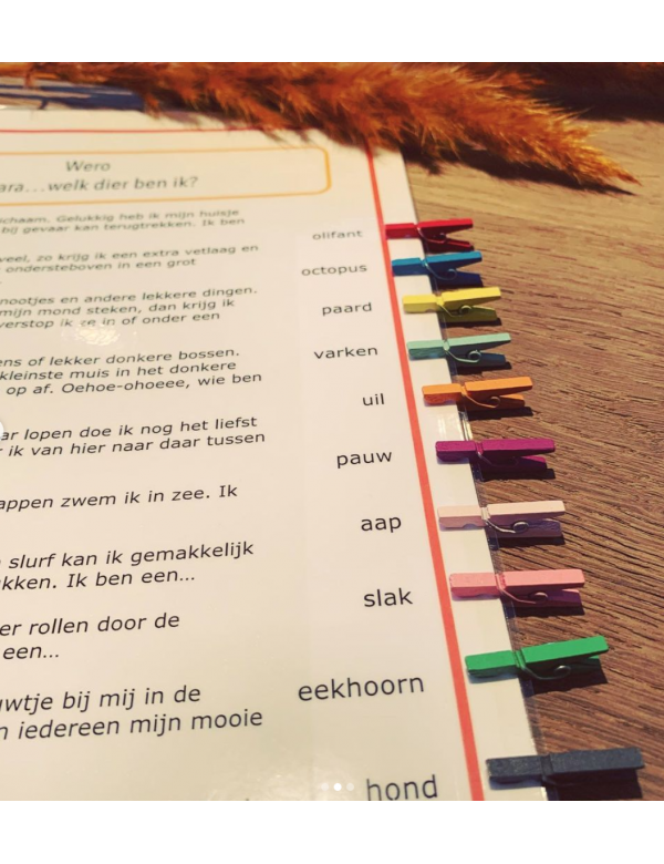 Knijperspel dieren (download)